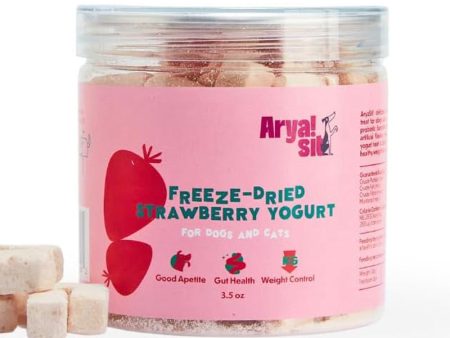 Arya Sit FD Strawberry Yogurt Online now