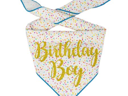 Birthday Boy Bandana Sale