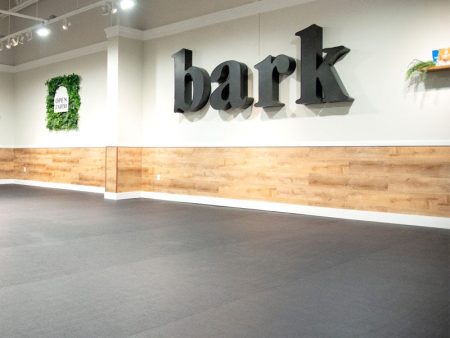 BARK Room - Event Space Rental Online Hot Sale