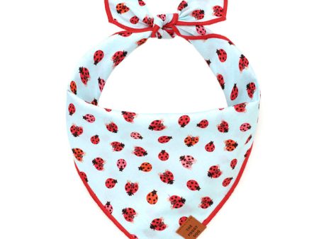 Love Bug Bandana Online Sale