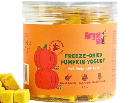 Arya Sit FD Pumpkin Yogurt Cheap