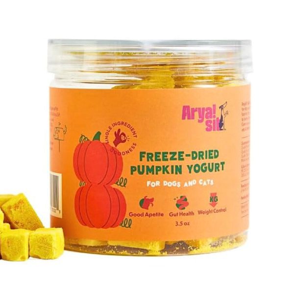 Arya Sit FD Pumpkin Yogurt Cheap