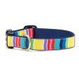 Colorful Stripe Collar Discount