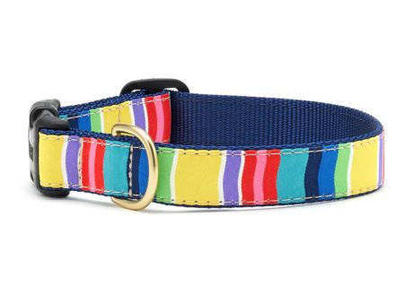 Colorful Stripe Collar Discount