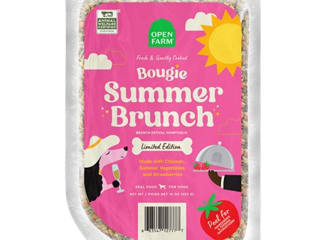 Open Farm Gently Cooked Bougie Summer Brunch For Cheap