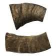 Water Buffalo Horn-Large Online