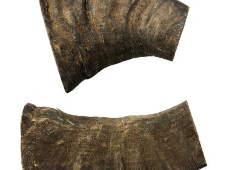 Water Buffalo Horn-Large Online