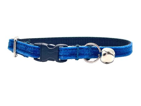 Blue Velvet Collar For Sale