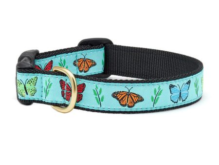 Butterfly Effect Collar Online Hot Sale