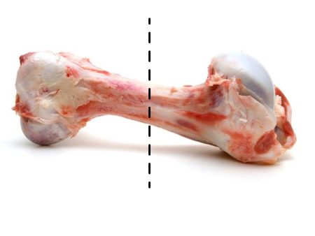 Organic Marrow Bone Half Cut (Femur Bone) | $7.99kg For Sale