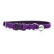 Purple Velvet Collar Sale