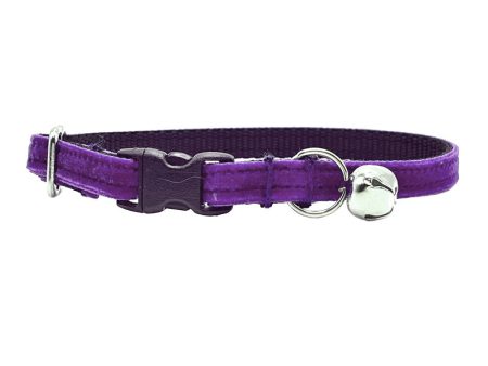 Purple Velvet Collar Sale