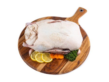 Goose Whole Frozen | $29.99kg Discount