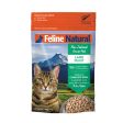 Feline Natural FD Lamb on Sale