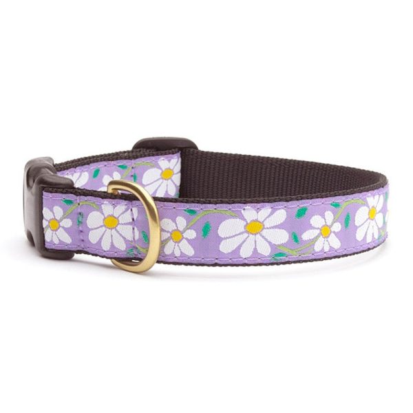 Daisy Collar Hot on Sale