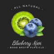 Bone Broth Pupsicles - Blueberry & Kiwi For Discount