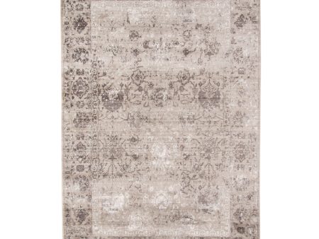 Amer Cambridge CAM-15 Brown Area Rug Collection Hot on Sale