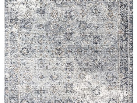 Amer Fairmont FAI-2 Gray Area Rug Collection For Sale