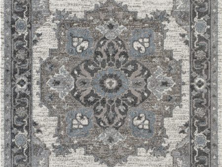 Amer Alexandria ALX-51 Light Gray Area Rug Collection Fashion