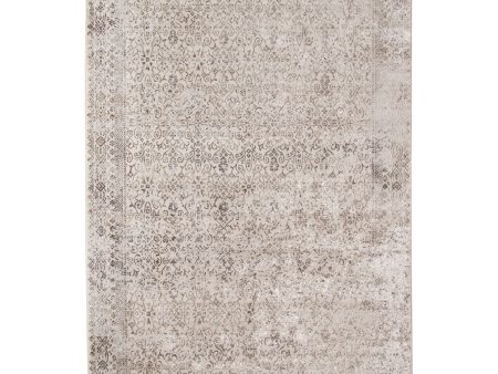 Amer Cambridge CAM-62 Light Gray Area Rug Collection Supply