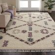 Nourison Denmark Shag DNK01 Ivory Area Rug Collection Sale