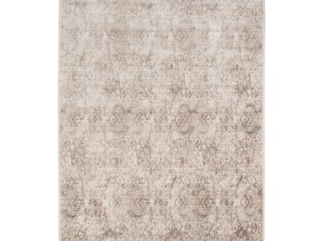 Amer Cambridge CAM-12 Ivory Area Rug Collection on Sale