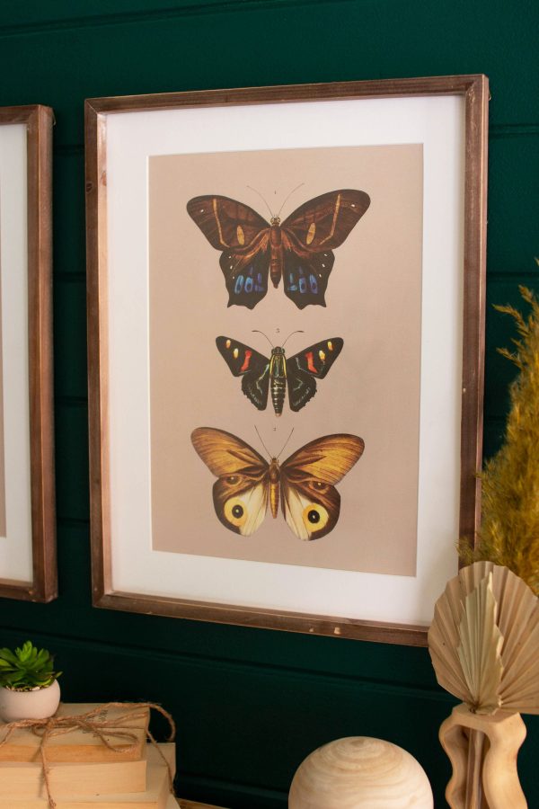 Set Of Two Framed Butterfly Prints Under Glass Fashion