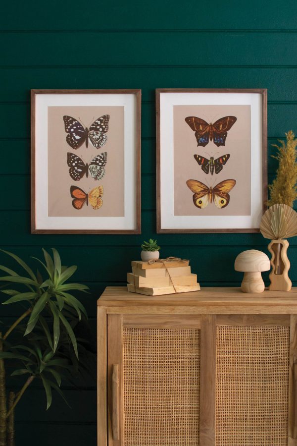 Set Of Two Framed Butterfly Prints Under Glass Fashion