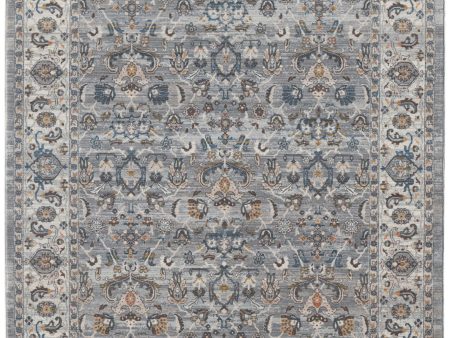 Amer Arcadia ARC-2 Gray Area Rug Collection For Cheap