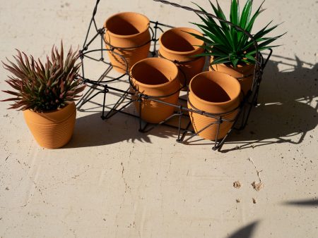 Six Clay Pots In A Wire Basket Fashion