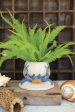 Ceramic Crab Planter Hot on Sale