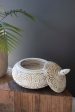 Carved Decorative Container With Lid - Natural And White Discount