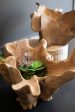 Blooming Teak Root Bowl Online Hot Sale