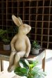 Faux Concrete Rabbit Shelf Sitter Supply