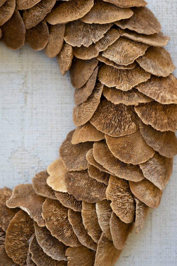 Sponge Mushroom Wreath For Sale