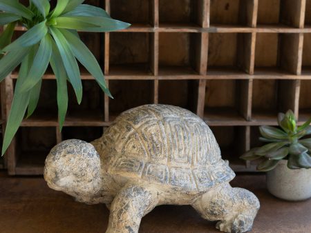 Faux Concrete - Turtle Fashion