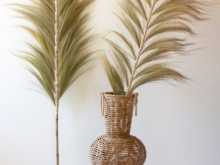 Decorative Fan Palms With Bamboo Stems For Cheap