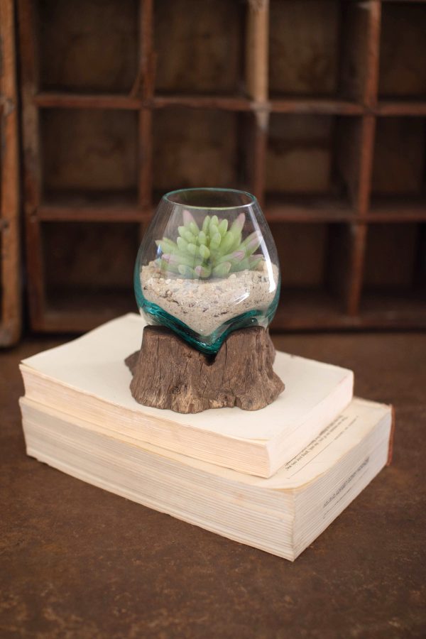 Blown Glass Bowl On Driftwood Base - Small Sale