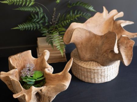 Blooming Teak Root Bowl Online Hot Sale