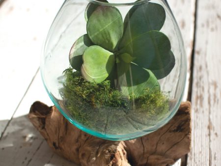 Blown Glass Bowl On Driftwood Base - Large Sale